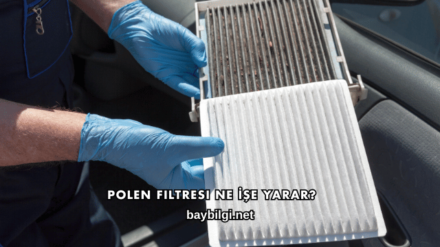Polen Filtresi Ne İşe Yarar?