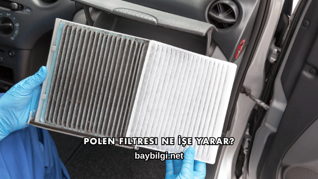 Polen Filtresi Ne İşe Yarar?