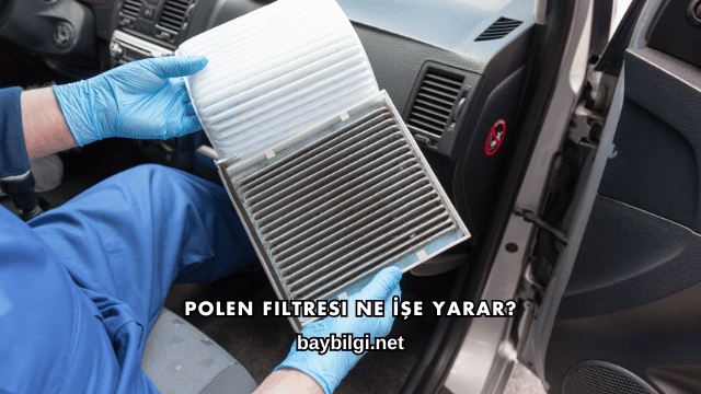 Polen Filtresi Ne İşe Yarar?
