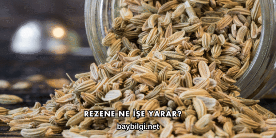 Rezene Ne İşe Yarar?
