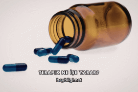 Terapix Ne İşe Yarar?