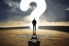 Termostat Ne İşe Yarar?