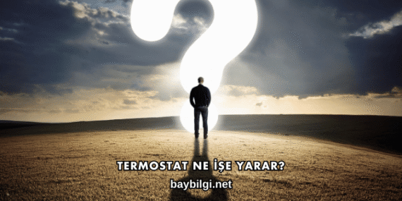Termostat Ne İşe Yarar?