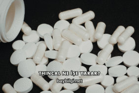 Thincal Ne İşe Yarar?