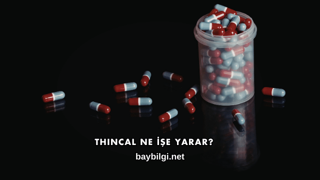 Thincal Ne İşe Yarar?