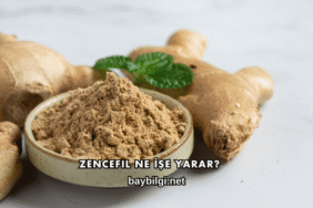 Zencefil Ne İşe Yarar?