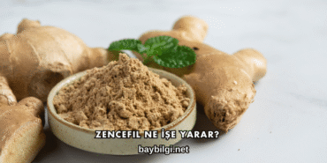 Zencefil Ne İşe Yarar?