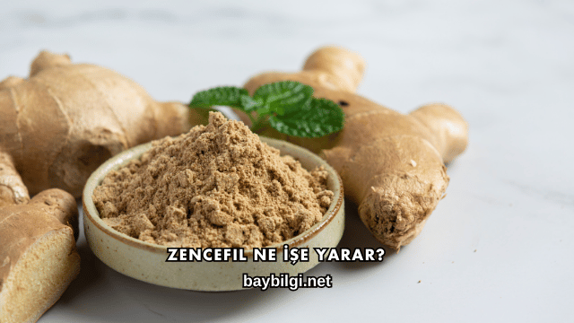 Zencefil Ne İşe Yarar?