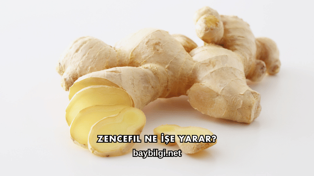 Zencefil Ne İşe Yarar?