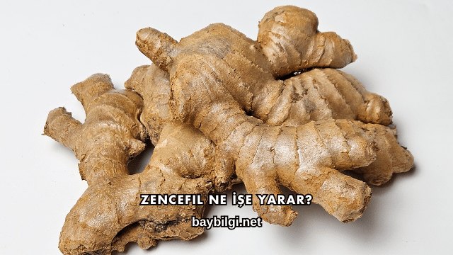 Zencefil Ne İşe Yarar?